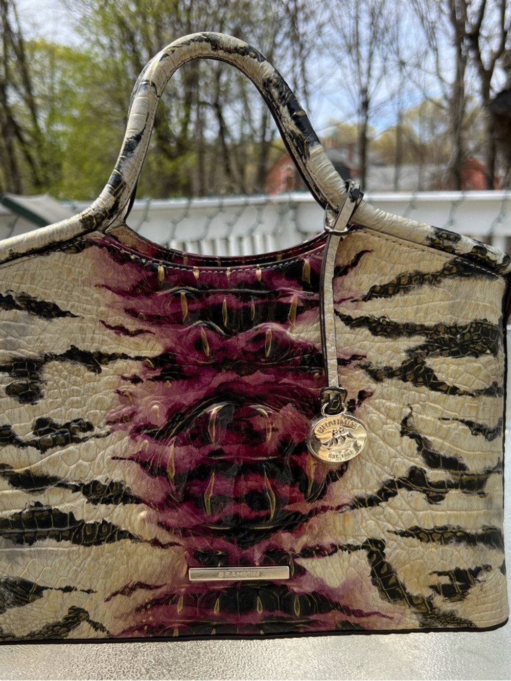Brahmin Small Elaine Starlet Ombré Melbourne - Picture 13 of 14